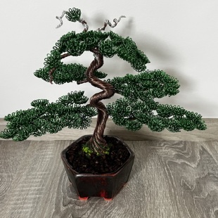 Shohin Bark I