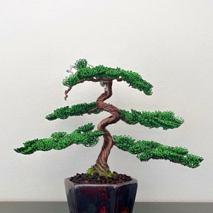 Shohin Bark I