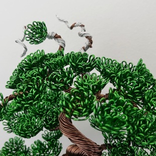Shohin Bark I