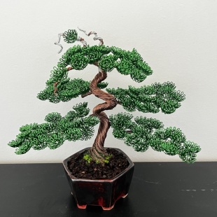 Shohin Bark I
