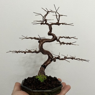 Shohin Bark III.