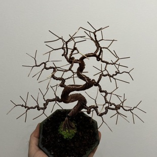 Shohin Bark III.
