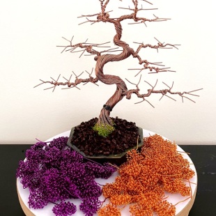 Shohin Bark III.