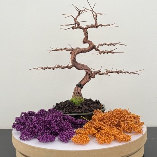 Shohin Bark III.