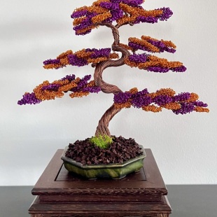 Shohin Bark III.