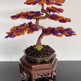 Shohin Bark III.