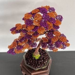 Shohin Bark III.