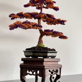 Shohin Bark III.
