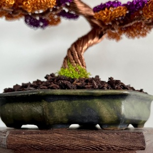 Shohin Bark III.