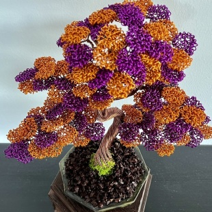 Shohin Bark III.