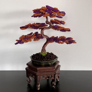 Shohin Bark III.