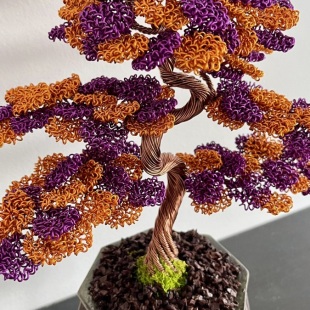 Shohin Bark III.