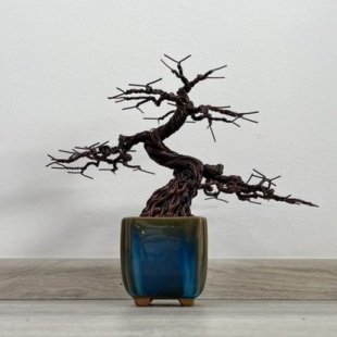 Shohin Forget-me-not