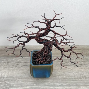 Shohin Forget-me-not