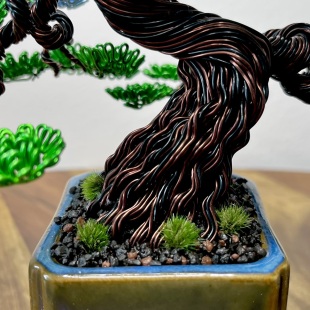 Shohin Forget-me-not