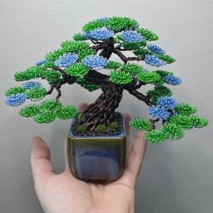 Shohin Forget-me-not
