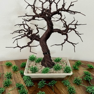 Shohin In Sand