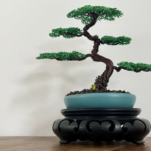 Shohin Mini II.