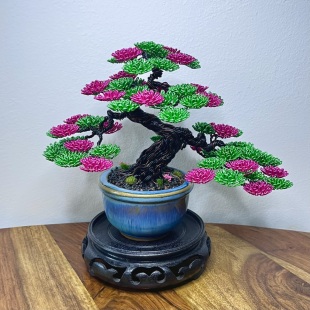 Shohin of Sakura II
