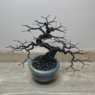 Shohin of Sakura II