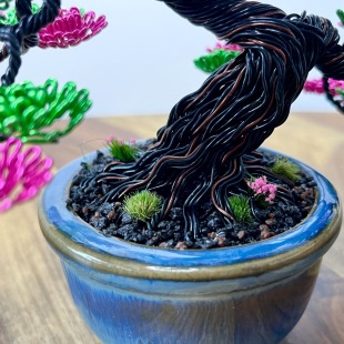 Shohin of Sakura II