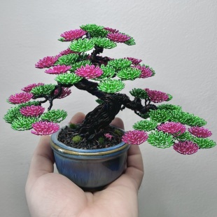 Shohin of Sakura II
