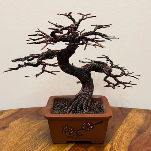 Shohin of Sakura