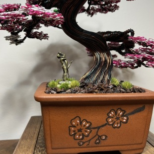Shohin of Sakura