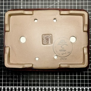 Silver-Line Maple (Custom-made)