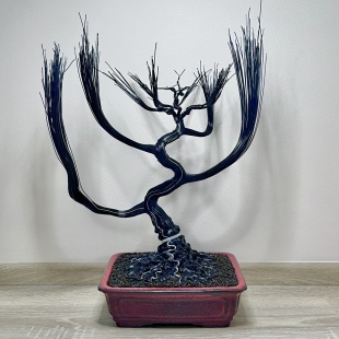 Silver-Line Maple (Custom-made)