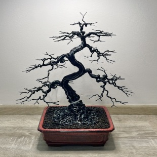 Silver-Line Maple (Custom-made)