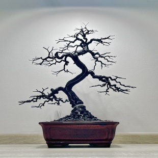 Silver-Line Maple (Custom-made)