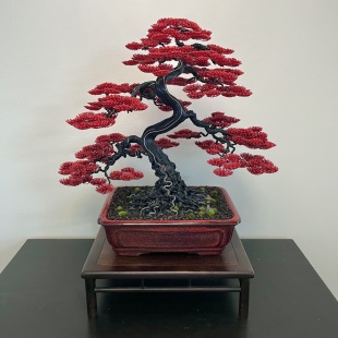 Silver-Line Maple (Custom-made)