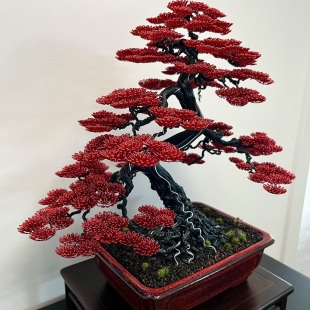 Silver-Line Maple (Custom-made)