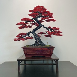 Silver-Line Maple (Custom-made)