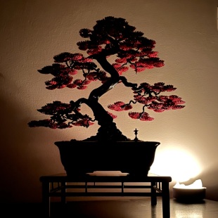 Silver-Line Maple (Custom-made)