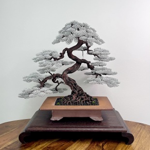 Snowy Pine