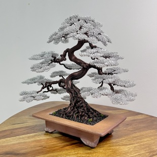 Snowy Pine
