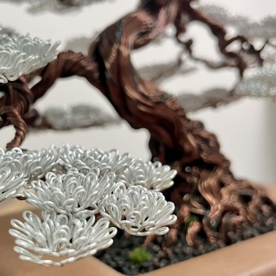 Snowy Pine