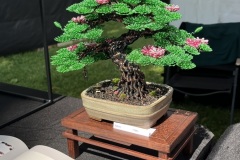 Tanabata 2026