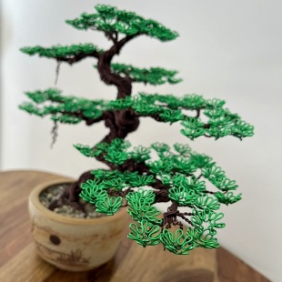 Zelkova III.