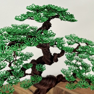Zelkova III.