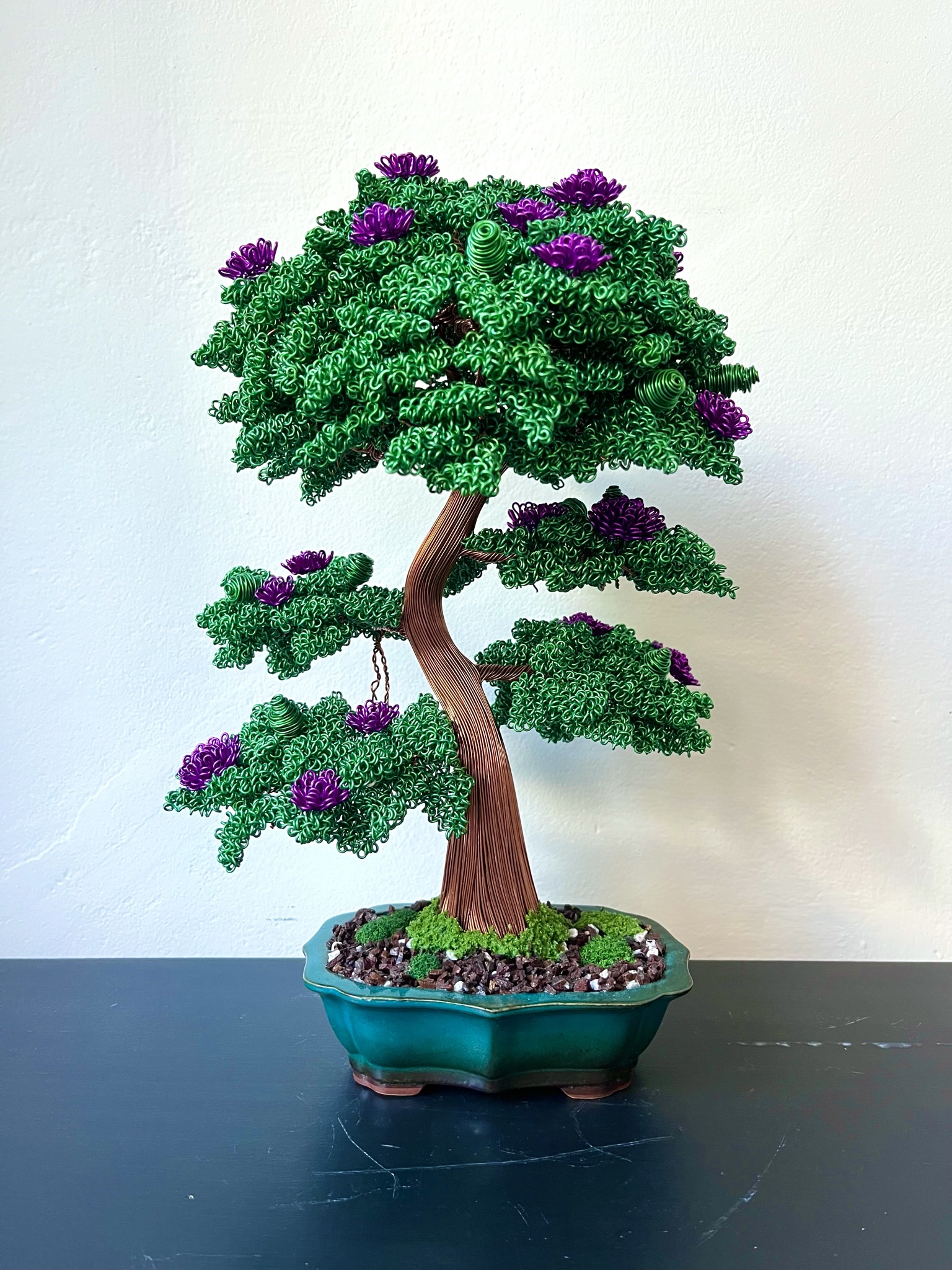 Purple Bougainvillea