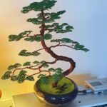 ZELKOVA