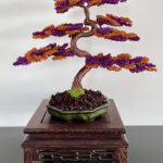 SHOHIN BARK III.
