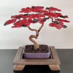 SHOHIN BARK IV.