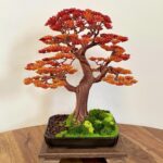 AUTUMN OAK II.