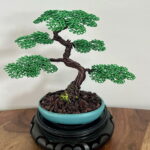SHOHIN MINI II.