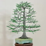 ZINC BEECH (Custom made)