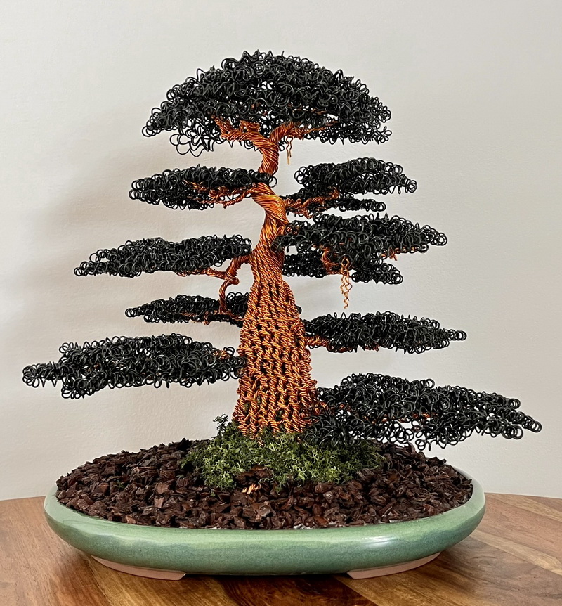 Black Oak